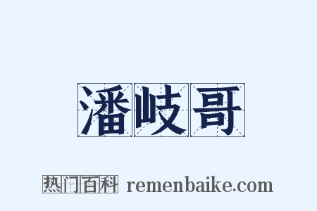 潘岐哥是什么意思的图片